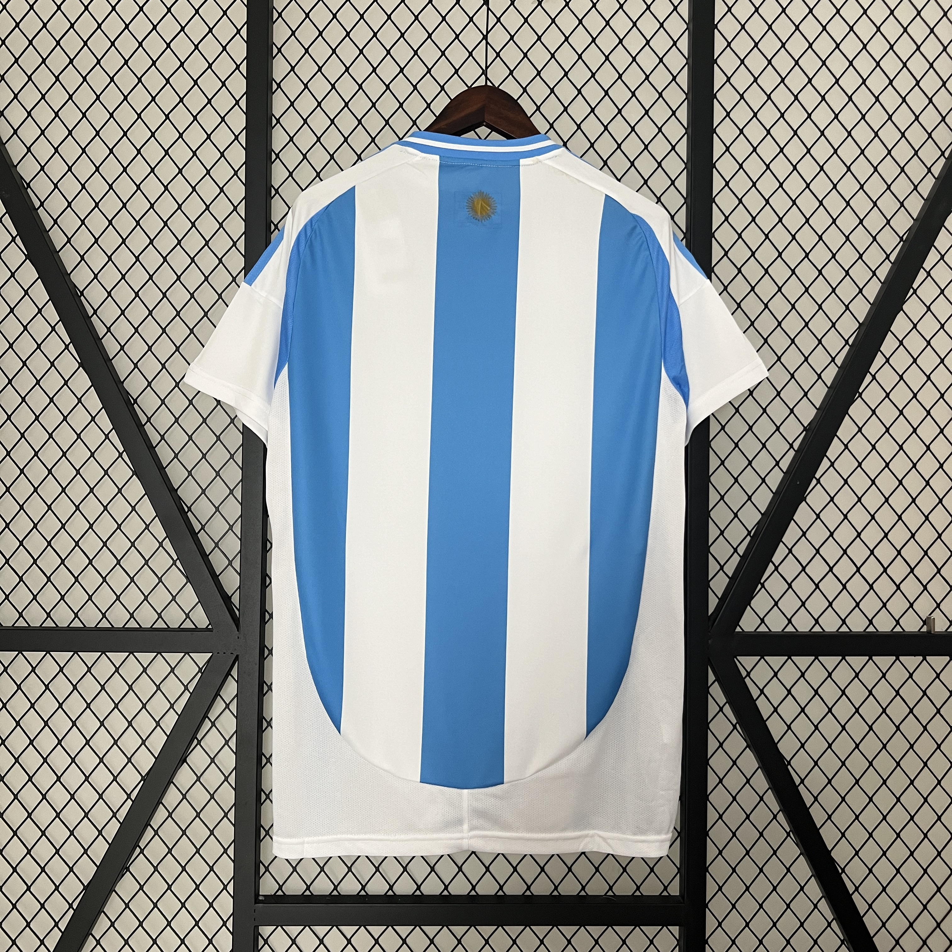 2024 Argentina home